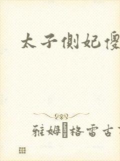 太子侧妃傻乎乎