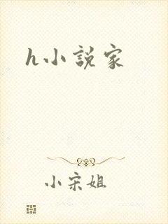 h小说家