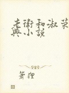 老卫和淑荣的经典小说