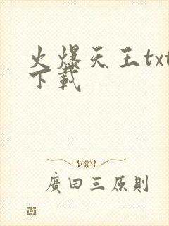 火爆天王txt下载