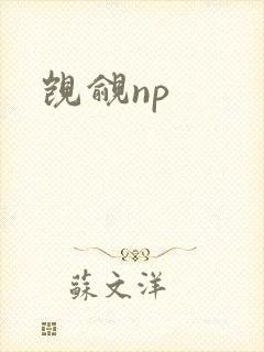 觊觎np
