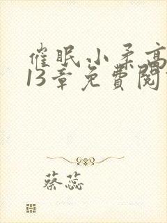 催眠小柔高达第13章免费阅读