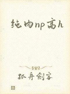纯肉np高h