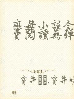 恋母小说全文免费阅读无弹窗笔趣阁封面
