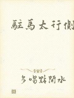 驻马太行侧封面