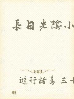 长日光阴小说