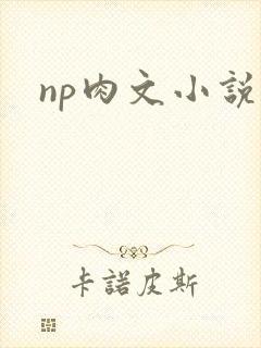 np肉文小说