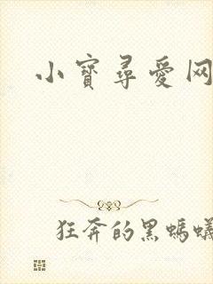 小宝寻爱网