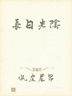长日光阴封面