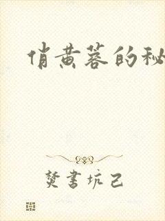 俏黄蓉的秘密封面