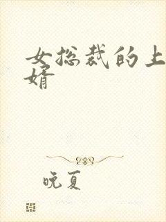 女总裁的上门女婿