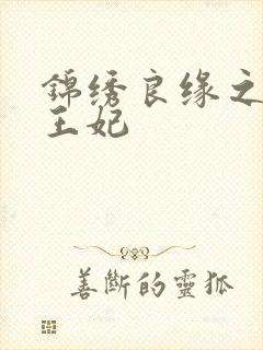 锦绣良缘之北地王妃