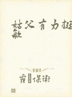 姑父有力挺送赵敏