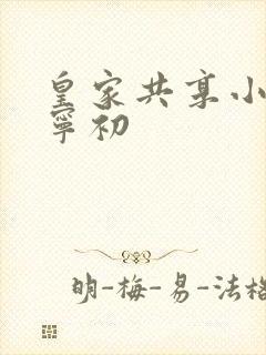 皇家共享小公主宁初