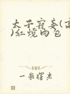 太子宠妾(高肉)红烧肉包封面