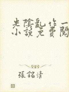 光阴乱作一团的小说免费阅读