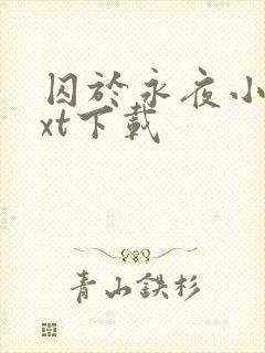 囚于永夜小说txt下载