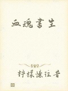 血魂书生