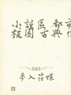 小说区 都市 校园 古典 偷拍封面