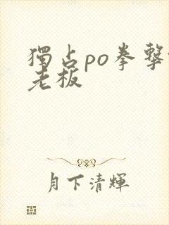 独占po拳击馆老板