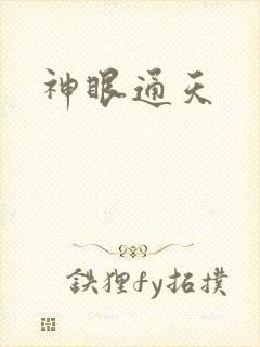 神眼通天封面