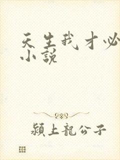 天生我才必有用小说