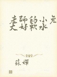 老师的小兔子好大好软水封面