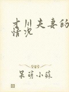 才川夫妻的恋爱情况