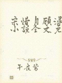 宋惜月顾浔渊的小说全文免费阅读