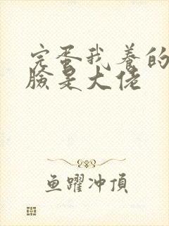 完蛋我养的小白脸是大佬封面