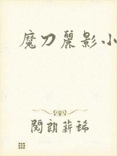 魔刀丽影小说