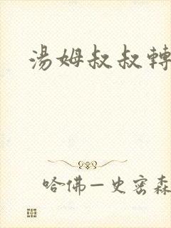 汤姆叔叔转接口