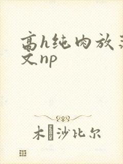 高h纯肉放荡h文np封面