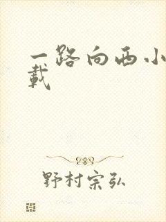 一路向西小说下载封面