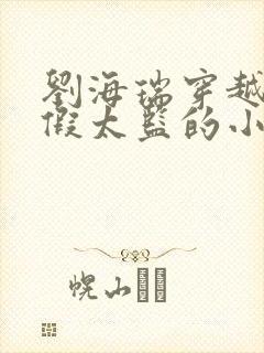 刘海瑞穿越后宫假太监的小说