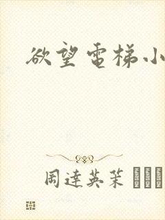 欲望电梯小说封面