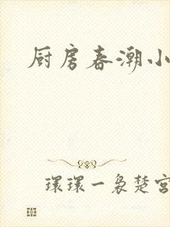 厨房春潮小说封面