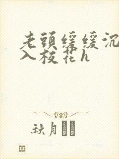 老头缓缓沉腰进入校花h