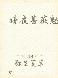 暗夜蔷薇魅封面