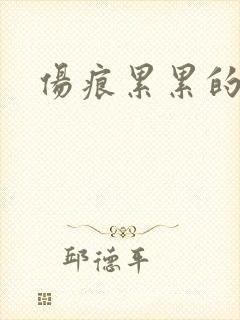 伤痕累累的勋章