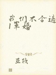 我们不合适1v1军婚