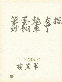 笨蛋炮灰总被爆炒翻车了封面