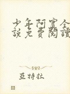 少年阿宾全文小说免费阅读笔趣阁