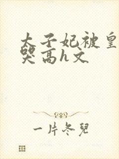 太子妃被皇上c哭高h文封面