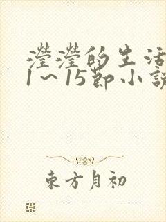 滢滢的生活日记1～15节小说封面