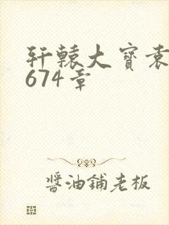 轩辕大宝袁雪妃674章