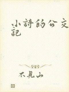 小诗的公交车日记