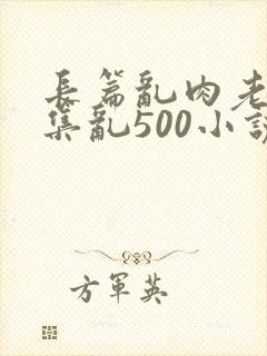 长篇乱肉老师合集乱500小说封面