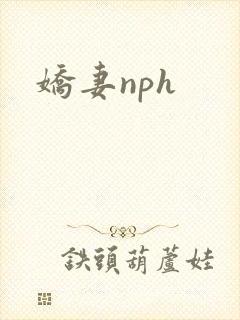 娇妻nph