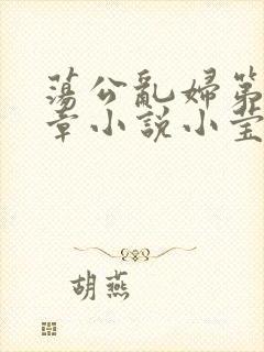 荡公乱妇第51章小说小莹